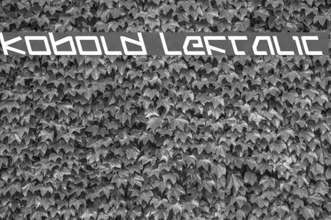 Kobold Leftalic Font examples