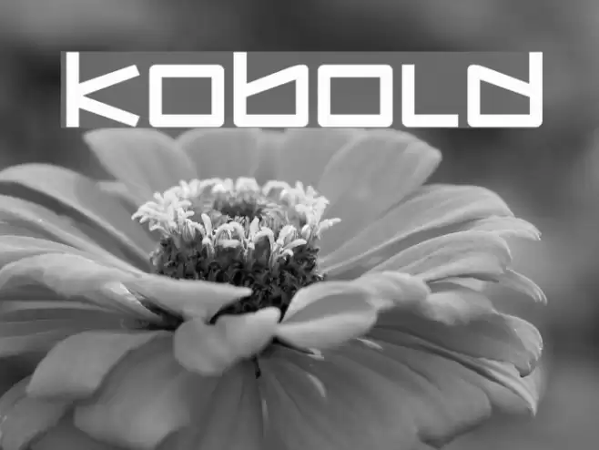 Kobold Font examples