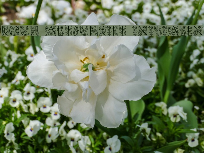 Koch Altschrift Initialen Example 1