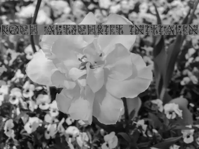 Koch Altschrift Initialen Font examples