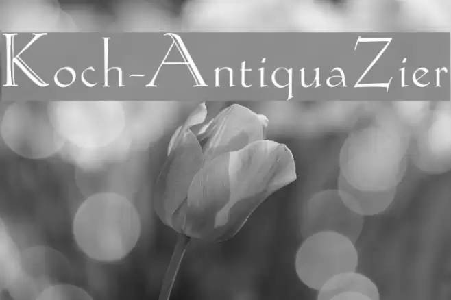 Koch-AntiquaZier Font examples