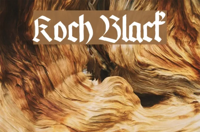 Koch Black Example 3