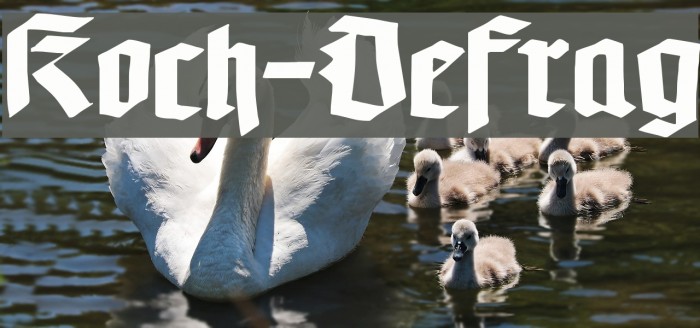 Koch-Defrag Example 2