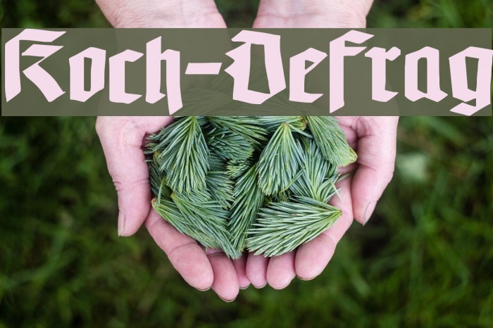 Koch-Defrag Example 3