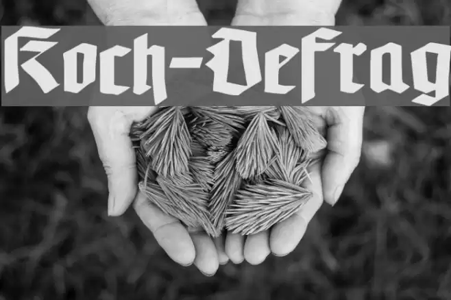 Koch-Defrag Font examples