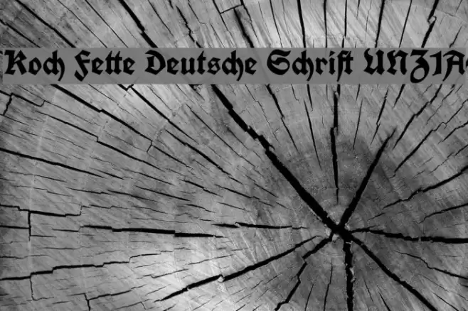 Koch Fette Deutsche Schrift UNZ1A Font examples