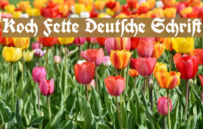 Koch Fette Deutsche Schrift Font examples
