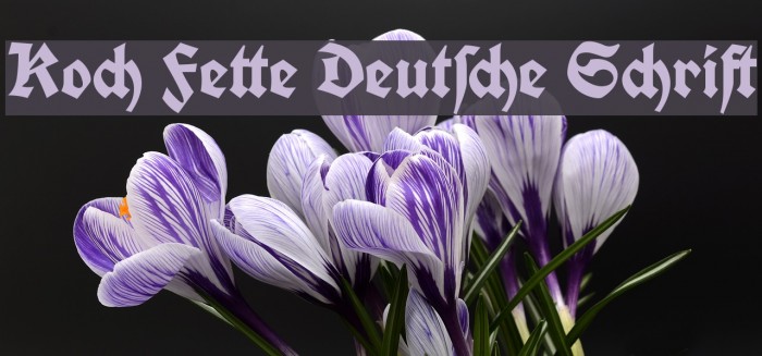 Koch Fette Deutsche Schrift Font examples