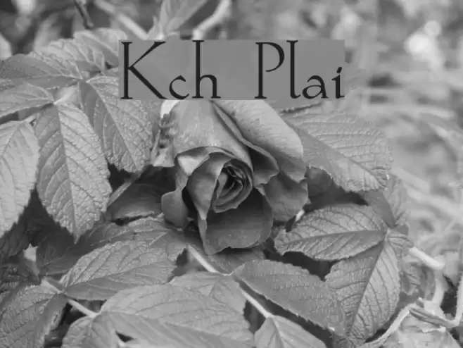 Koch Plain Font examples