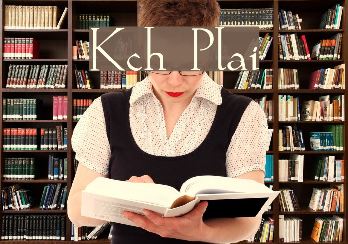 Koch Plain Font examples