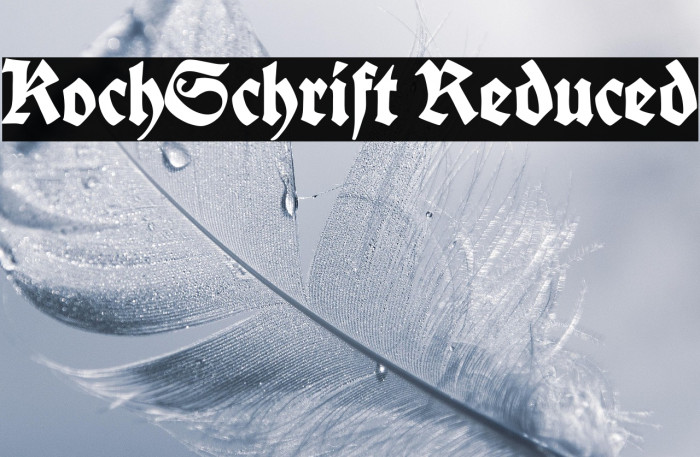 Koch-Schrift Reduced Example 1