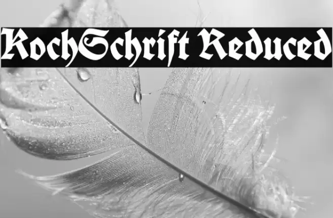 Koch-Schrift Reduced Font examples