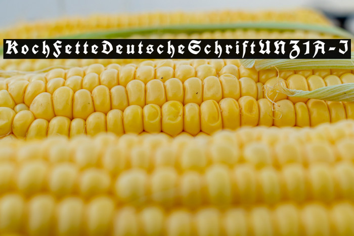 KochFetteDeutscheSchriftUNZ1A-I Font examples