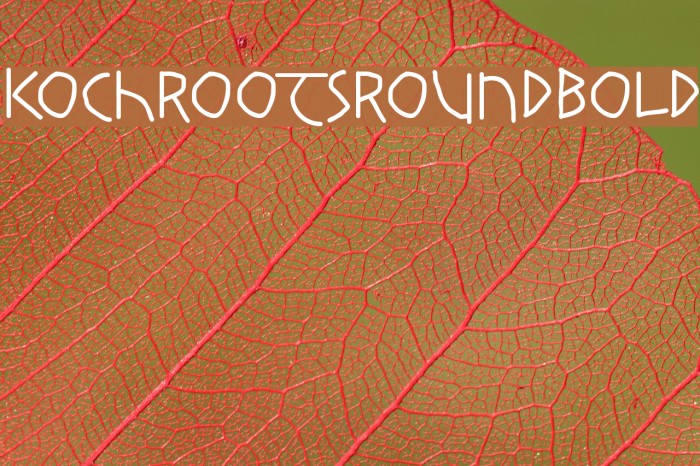 KochRootsRoundBold Font examples