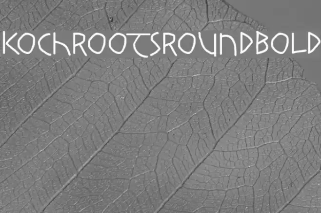 KochRootsRoundBold Font examples