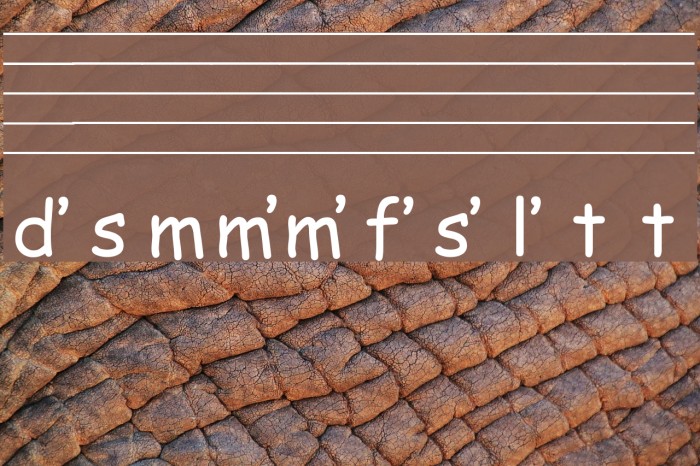 Kodaly Font examples