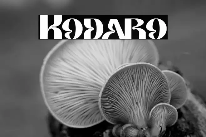 Kodaro フォント examples
