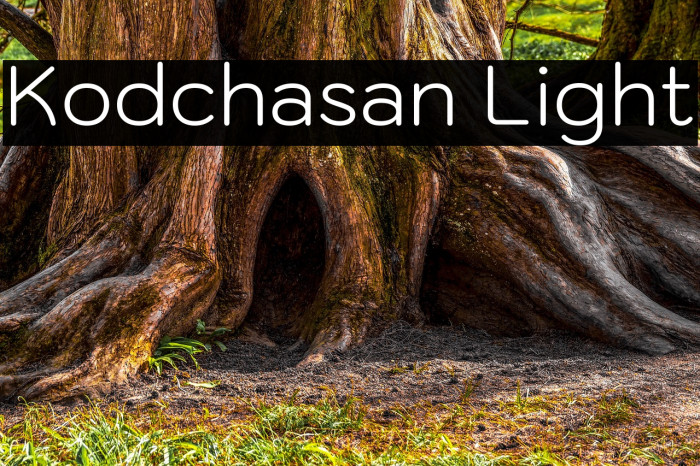 Kodchasan Light Font examples