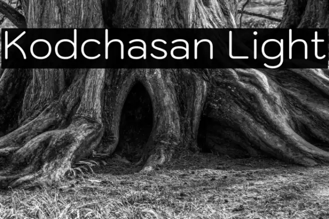Kodchasan Light フォント examples