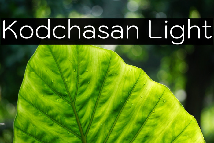 Kodchasan Light Font examples
