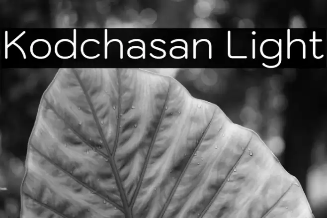 Kodchasan Light フォント examples