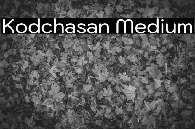 Kodchasan Medium Font examples