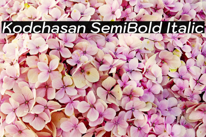 Kodchasan SemiBold Italic Font examples