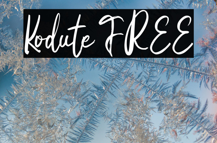 Kodute FREE Example 2
