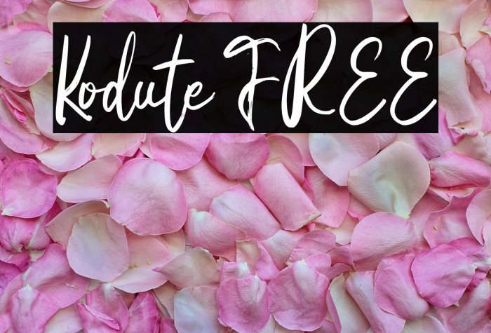 Kodute FREE Example 3