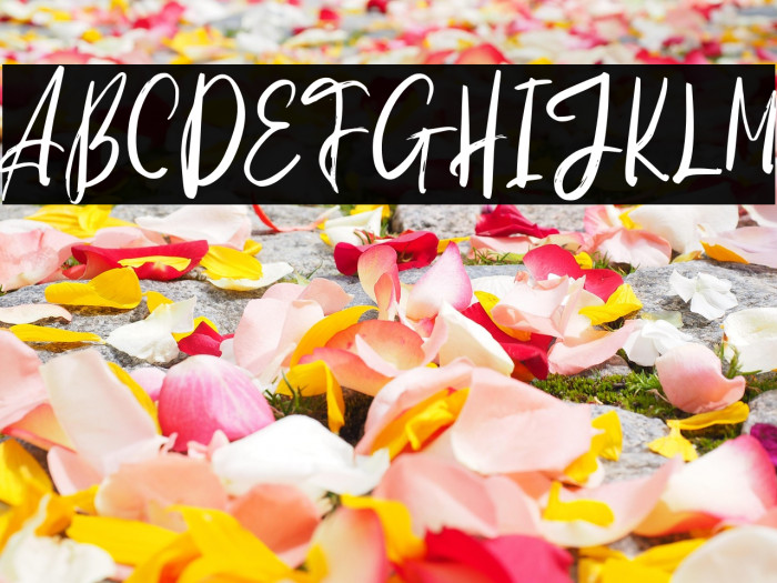 KoduteFREE Example 3