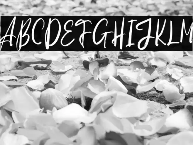 KoduteFREE Font examples