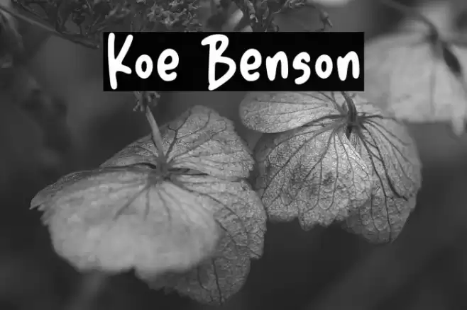 Koe Benson Font examples