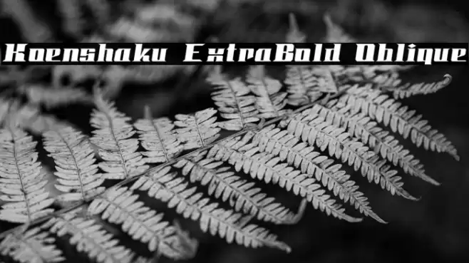 Koenshaku ExtraBold Oblique خط examples