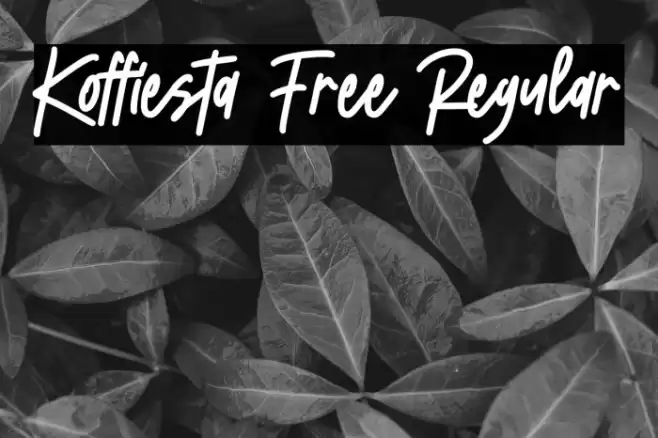 Koffiesta Free Regular Font examples