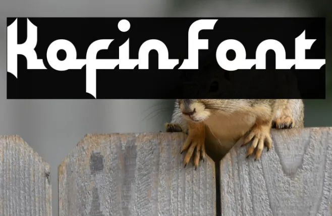 Kofin Example 3