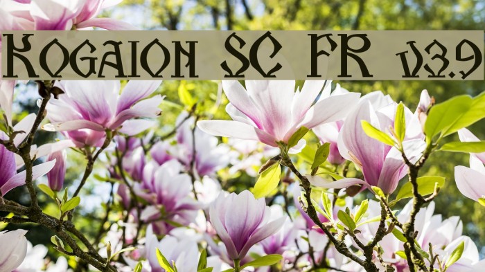 Kogaion SC FR v3.9 Font examples