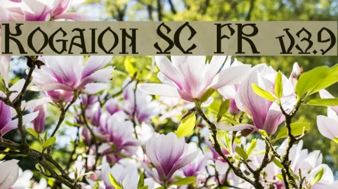 Kogaion SC FR v3.9 Example 2