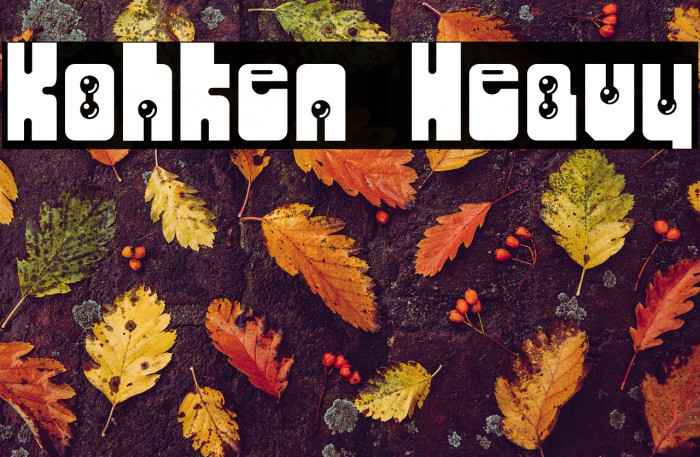 Kohken Heavy Example 1