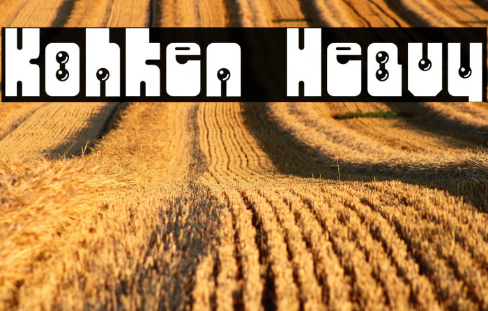 Kohken Heavy Example 2