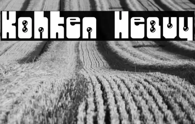 Kohken Heavy Fuentes examples