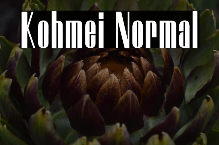 Kohmei Normal Example 1