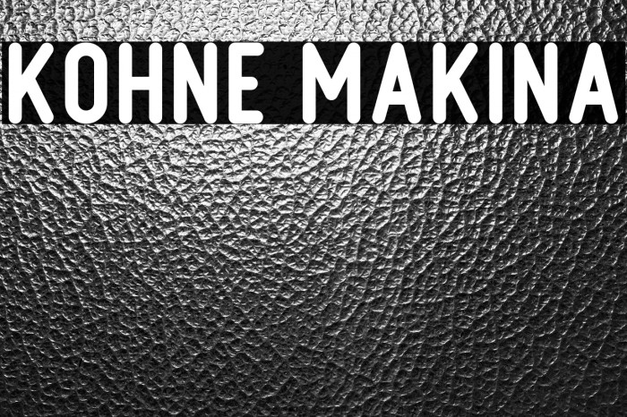 Kohne Makina Example 2