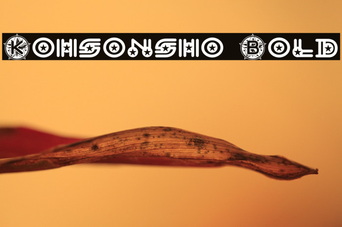 Kohsonsho Bold Example 1
