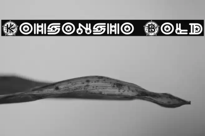 Kohsonsho Bold خط examples