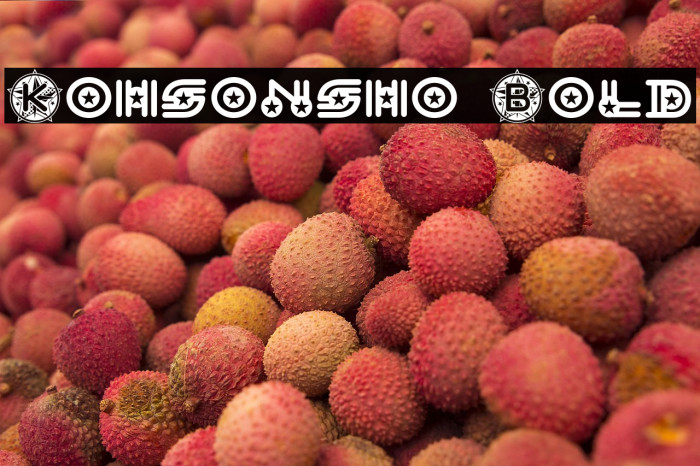 Kohsonsho Bold Example 2