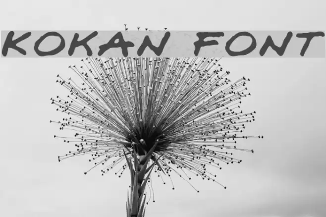 Kokan Font examples