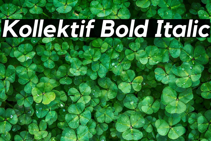 Kollektif Bold Italic Example 2