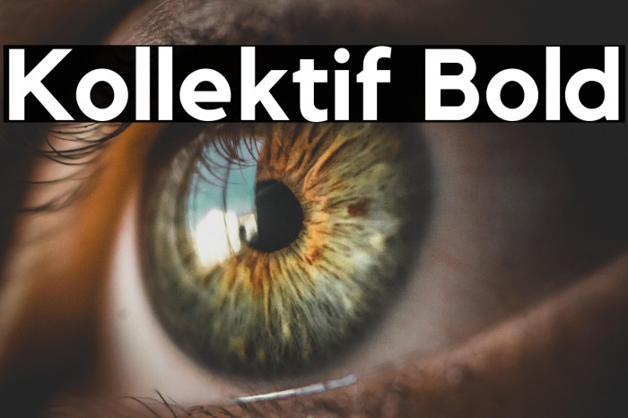 Kollektif Bold Example 3