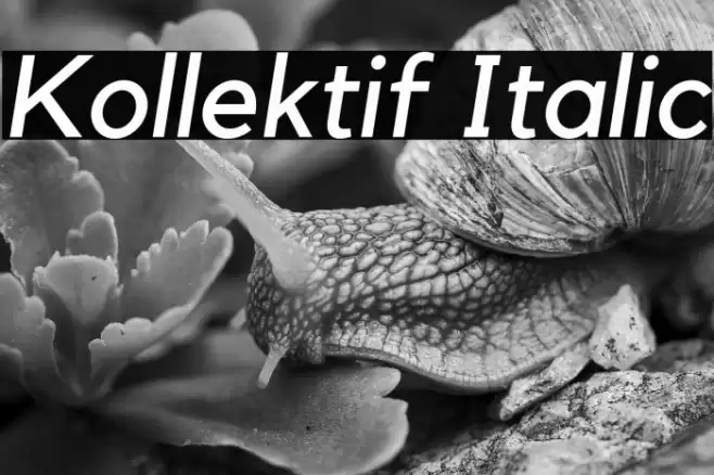 Kollektif Italic Font examples