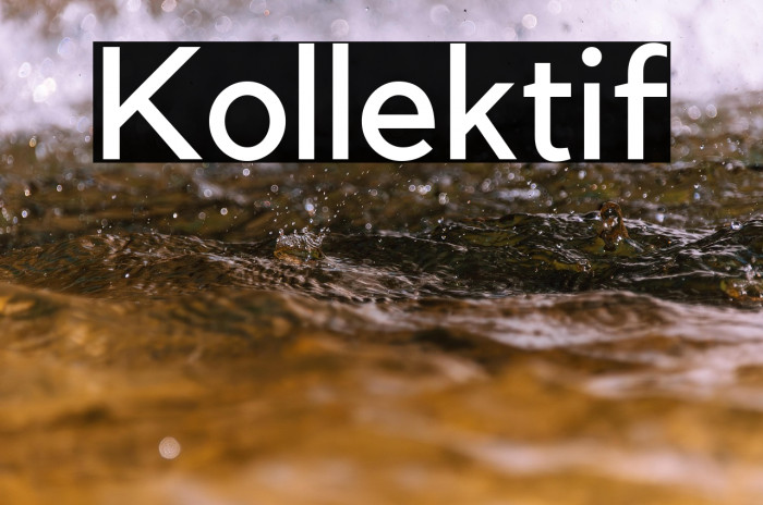Kollektif Example 1